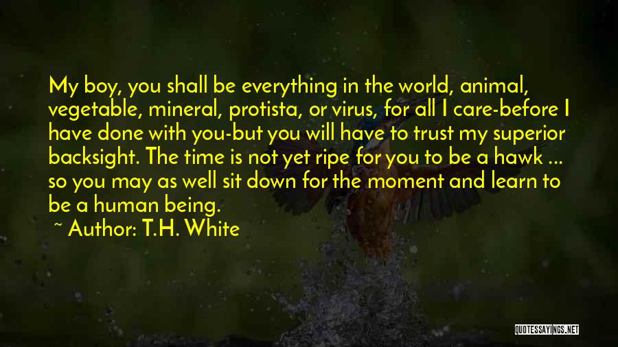 T.H. White Quotes: My Boy, You Shall Be Everything In The World, Animal, Vegetable, Mineral, Protista, Or Virus, For All I Care-before I