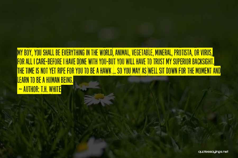 T.H. White Quotes: My Boy, You Shall Be Everything In The World, Animal, Vegetable, Mineral, Protista, Or Virus, For All I Care-before I