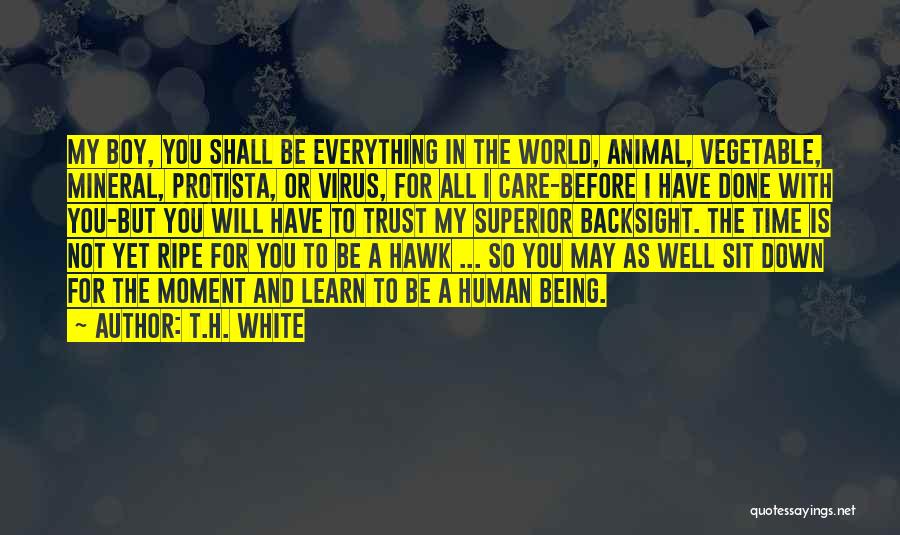 T.H. White Quotes: My Boy, You Shall Be Everything In The World, Animal, Vegetable, Mineral, Protista, Or Virus, For All I Care-before I