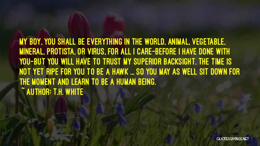 T.H. White Quotes: My Boy, You Shall Be Everything In The World, Animal, Vegetable, Mineral, Protista, Or Virus, For All I Care-before I