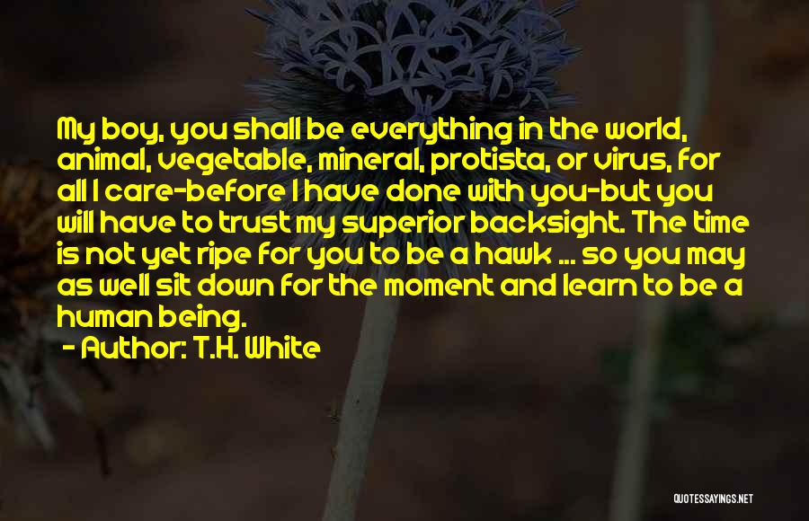 T.H. White Quotes: My Boy, You Shall Be Everything In The World, Animal, Vegetable, Mineral, Protista, Or Virus, For All I Care-before I