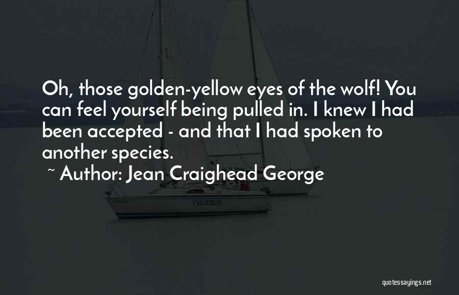 Jean Craighead George Quotes: Oh, Those Golden-yellow Eyes Of The Wolf! You Can Feel Yourself Being Pulled In. I Knew I Had Been Accepted