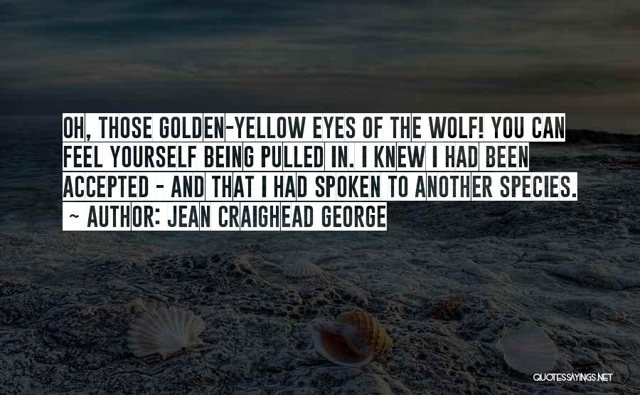 Jean Craighead George Quotes: Oh, Those Golden-yellow Eyes Of The Wolf! You Can Feel Yourself Being Pulled In. I Knew I Had Been Accepted