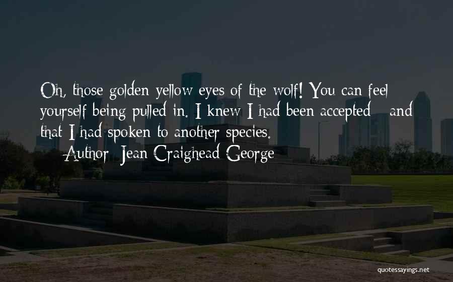 Jean Craighead George Quotes: Oh, Those Golden-yellow Eyes Of The Wolf! You Can Feel Yourself Being Pulled In. I Knew I Had Been Accepted