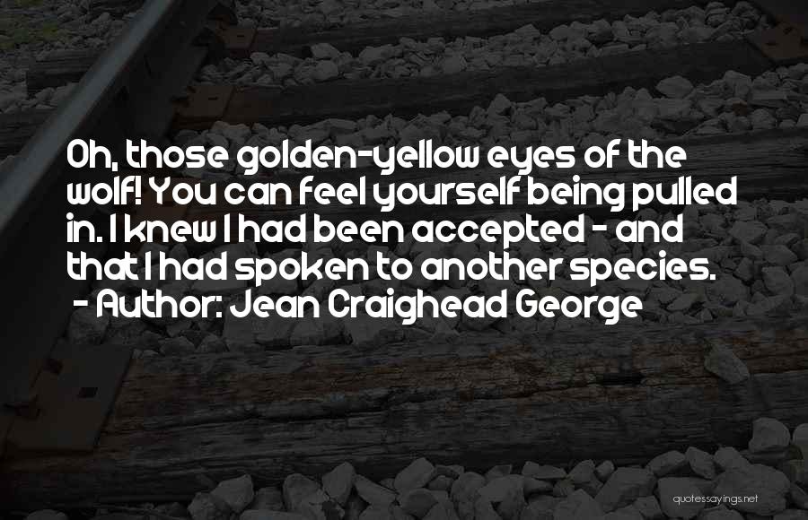 Jean Craighead George Quotes: Oh, Those Golden-yellow Eyes Of The Wolf! You Can Feel Yourself Being Pulled In. I Knew I Had Been Accepted