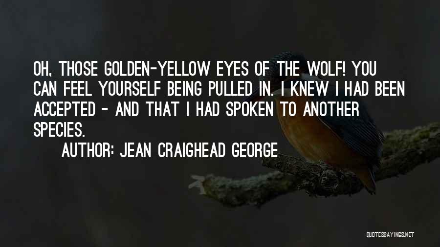 Jean Craighead George Quotes: Oh, Those Golden-yellow Eyes Of The Wolf! You Can Feel Yourself Being Pulled In. I Knew I Had Been Accepted