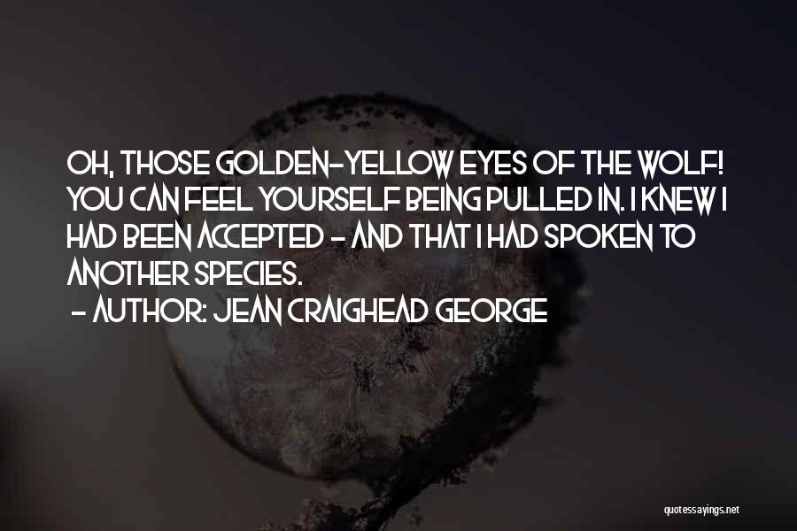 Jean Craighead George Quotes: Oh, Those Golden-yellow Eyes Of The Wolf! You Can Feel Yourself Being Pulled In. I Knew I Had Been Accepted