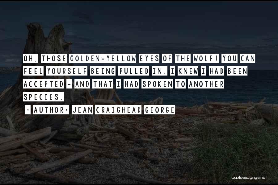 Jean Craighead George Quotes: Oh, Those Golden-yellow Eyes Of The Wolf! You Can Feel Yourself Being Pulled In. I Knew I Had Been Accepted