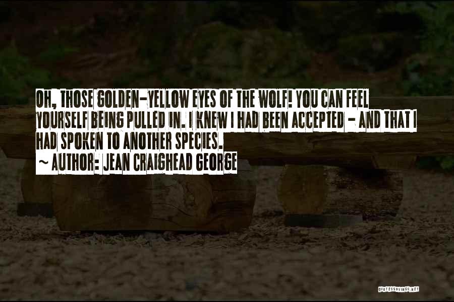 Jean Craighead George Quotes: Oh, Those Golden-yellow Eyes Of The Wolf! You Can Feel Yourself Being Pulled In. I Knew I Had Been Accepted