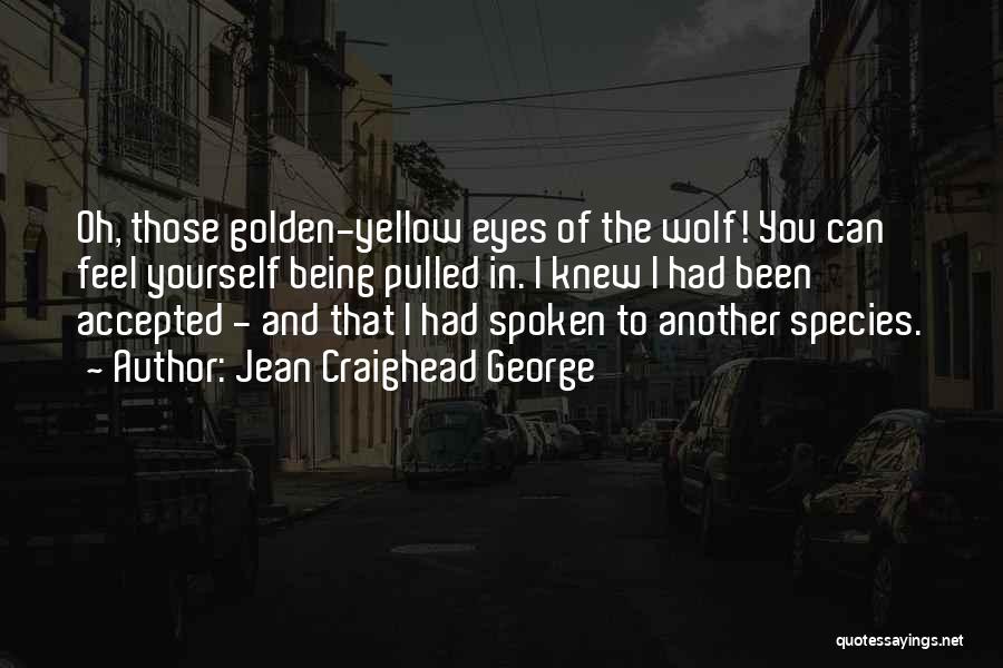 Jean Craighead George Quotes: Oh, Those Golden-yellow Eyes Of The Wolf! You Can Feel Yourself Being Pulled In. I Knew I Had Been Accepted