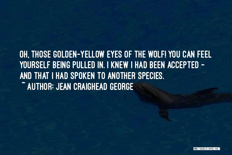 Jean Craighead George Quotes: Oh, Those Golden-yellow Eyes Of The Wolf! You Can Feel Yourself Being Pulled In. I Knew I Had Been Accepted