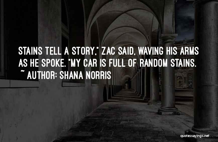 Shana Norris Quotes: Stains Tell A Story, Zac Said, Waving His Arms As He Spoke. My Car Is Full Of Random Stains.