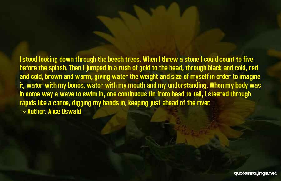 Alice Oswald Quotes: I Stood Looking Down Through The Beech Trees. When I Threw A Stone I Could Count To Five Before The