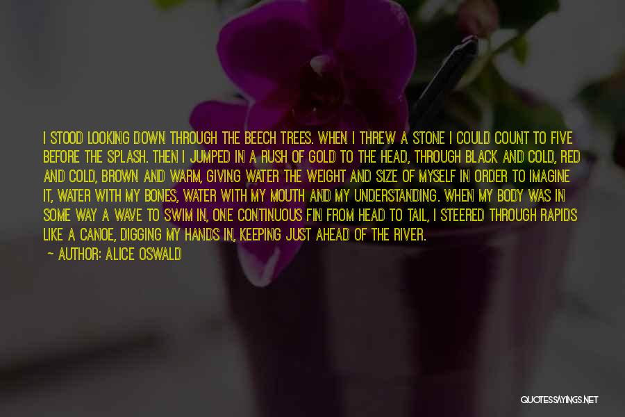 Alice Oswald Quotes: I Stood Looking Down Through The Beech Trees. When I Threw A Stone I Could Count To Five Before The