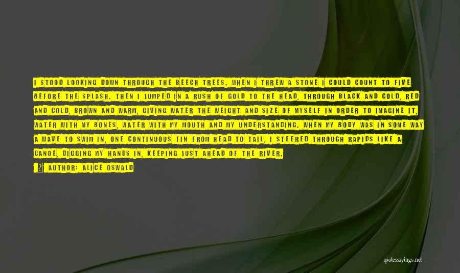 Alice Oswald Quotes: I Stood Looking Down Through The Beech Trees. When I Threw A Stone I Could Count To Five Before The