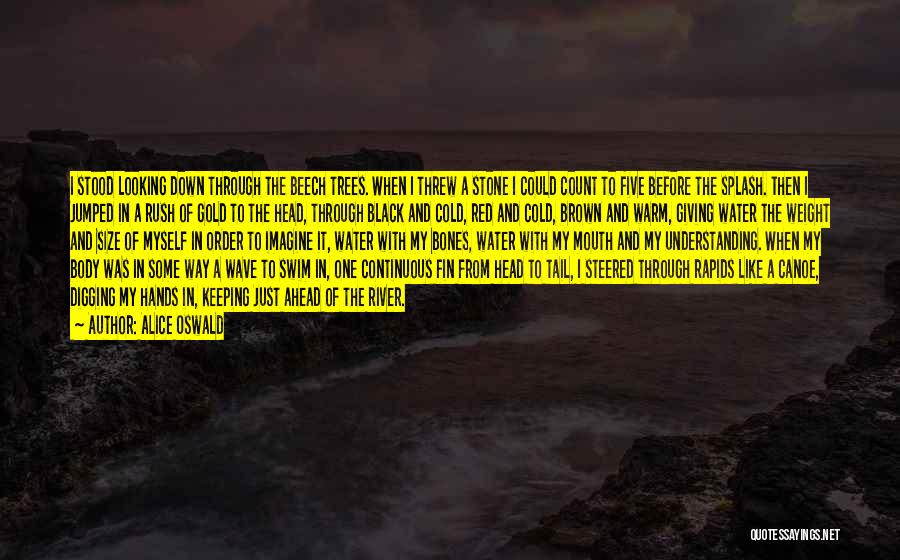 Alice Oswald Quotes: I Stood Looking Down Through The Beech Trees. When I Threw A Stone I Could Count To Five Before The