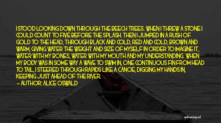 Alice Oswald Quotes: I Stood Looking Down Through The Beech Trees. When I Threw A Stone I Could Count To Five Before The