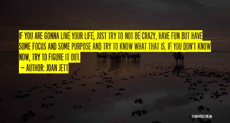 Joan Jett Quotes: If You Are Gonna Live Your Life, Just Try To Not Be Crazy, Have Fun But Have Some Focus And