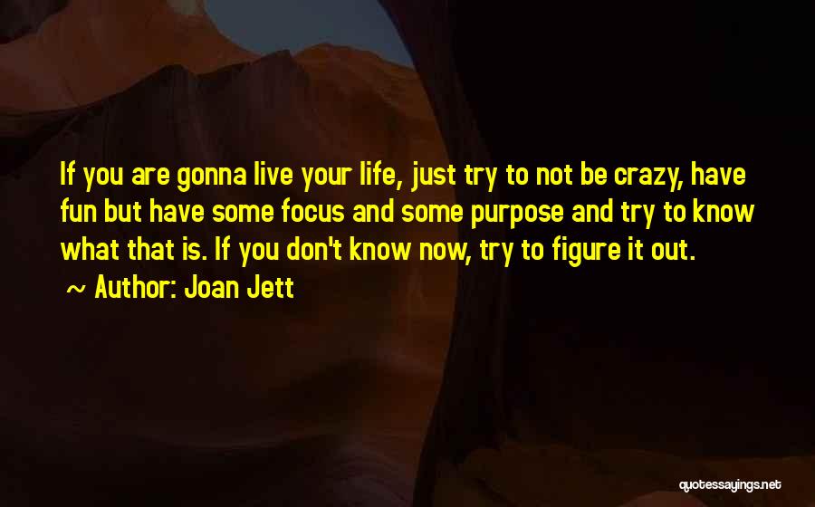 Joan Jett Quotes: If You Are Gonna Live Your Life, Just Try To Not Be Crazy, Have Fun But Have Some Focus And