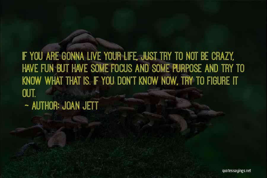 Joan Jett Quotes: If You Are Gonna Live Your Life, Just Try To Not Be Crazy, Have Fun But Have Some Focus And