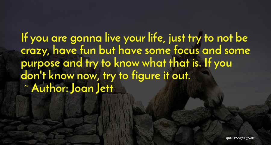 Joan Jett Quotes: If You Are Gonna Live Your Life, Just Try To Not Be Crazy, Have Fun But Have Some Focus And