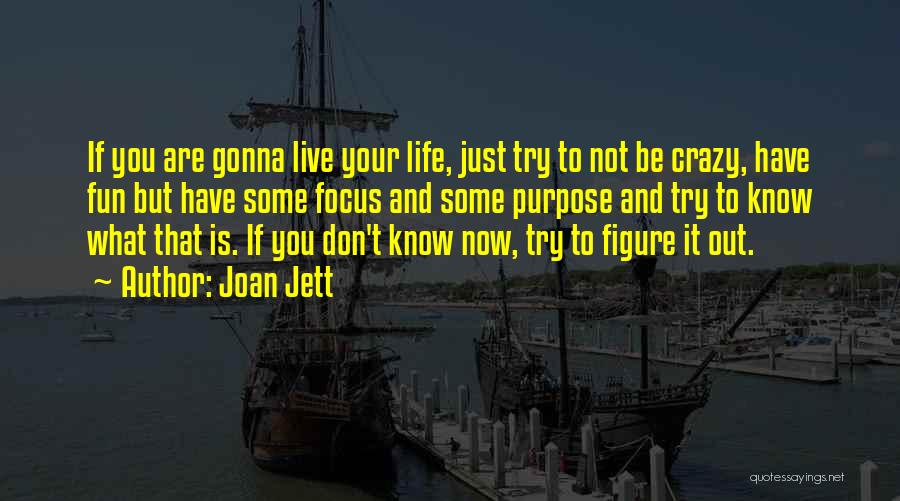 Joan Jett Quotes: If You Are Gonna Live Your Life, Just Try To Not Be Crazy, Have Fun But Have Some Focus And