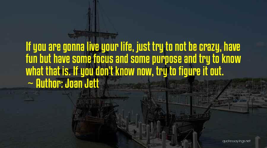 Joan Jett Quotes: If You Are Gonna Live Your Life, Just Try To Not Be Crazy, Have Fun But Have Some Focus And