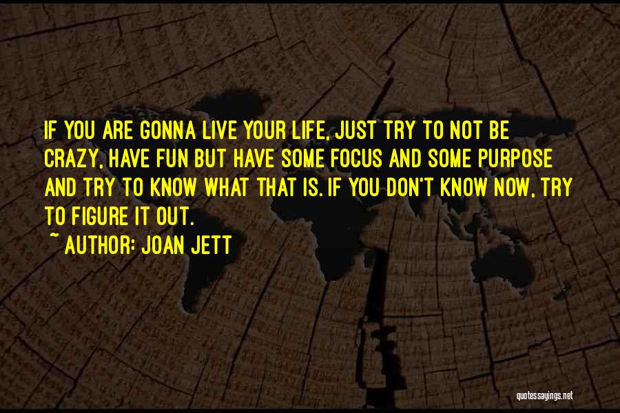 Joan Jett Quotes: If You Are Gonna Live Your Life, Just Try To Not Be Crazy, Have Fun But Have Some Focus And