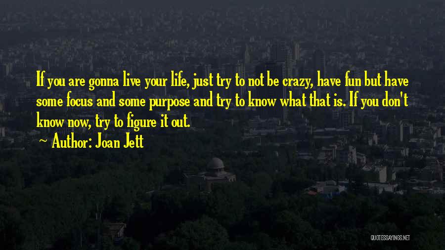 Joan Jett Quotes: If You Are Gonna Live Your Life, Just Try To Not Be Crazy, Have Fun But Have Some Focus And