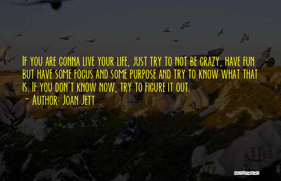 Joan Jett Quotes: If You Are Gonna Live Your Life, Just Try To Not Be Crazy, Have Fun But Have Some Focus And