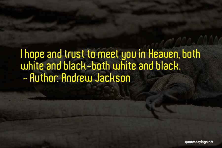 Andrew Jackson Quotes: I Hope And Trust To Meet You In Heaven, Both White And Black-both White And Black.