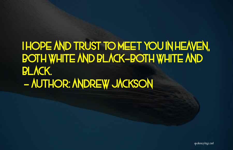 Andrew Jackson Quotes: I Hope And Trust To Meet You In Heaven, Both White And Black-both White And Black.