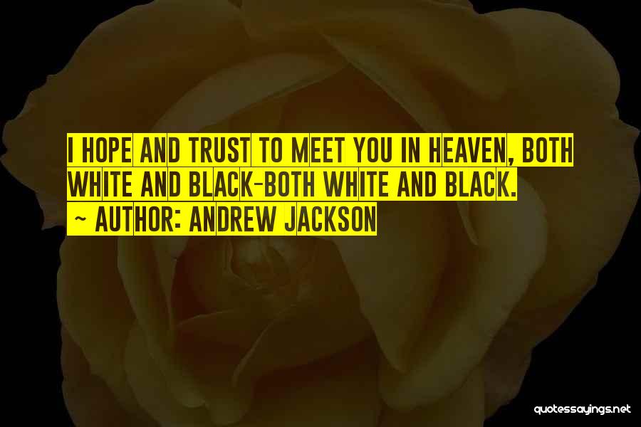 Andrew Jackson Quotes: I Hope And Trust To Meet You In Heaven, Both White And Black-both White And Black.