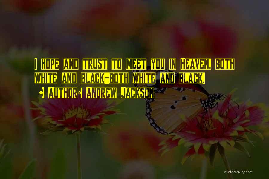 Andrew Jackson Quotes: I Hope And Trust To Meet You In Heaven, Both White And Black-both White And Black.