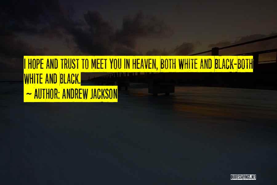 Andrew Jackson Quotes: I Hope And Trust To Meet You In Heaven, Both White And Black-both White And Black.