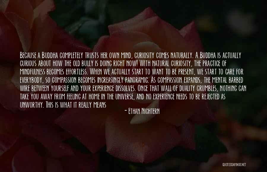 249 Gun Quotes By Ethan Nichtern 249 Gun Quotes By Ethan Nichtern