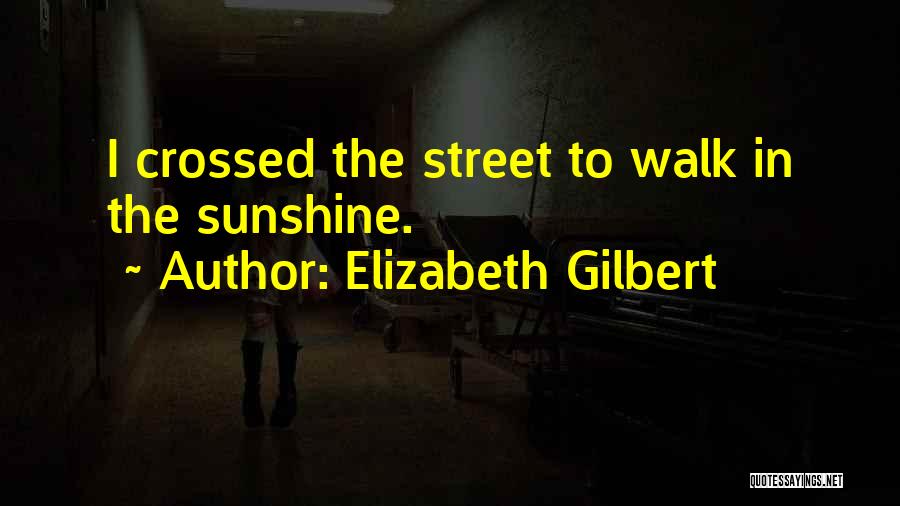 Elizabeth Gilbert Quotes: I Crossed The Street To Walk In The Sunshine.