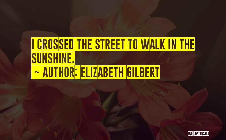 Elizabeth Gilbert Quotes: I Crossed The Street To Walk In The Sunshine.