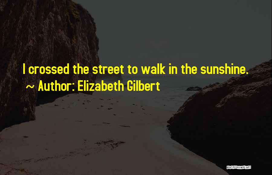 Elizabeth Gilbert Quotes: I Crossed The Street To Walk In The Sunshine.