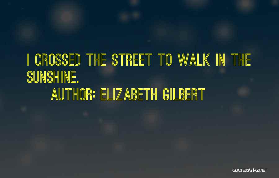 Elizabeth Gilbert Quotes: I Crossed The Street To Walk In The Sunshine.