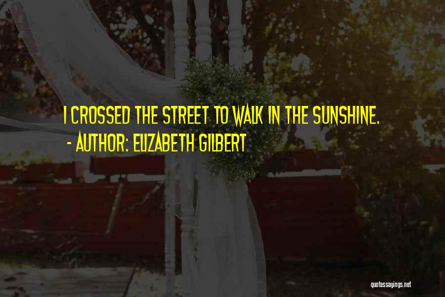 Elizabeth Gilbert Quotes: I Crossed The Street To Walk In The Sunshine.
