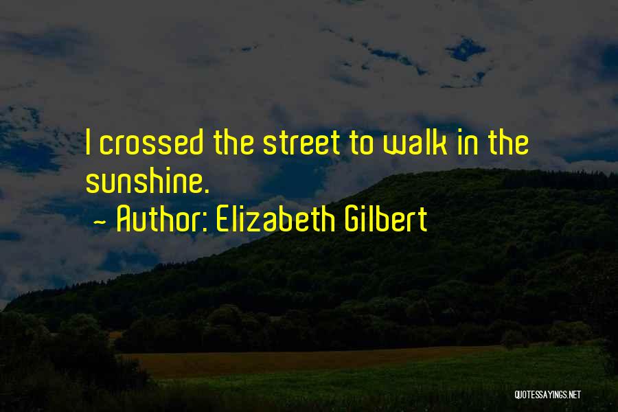 Elizabeth Gilbert Quotes: I Crossed The Street To Walk In The Sunshine.