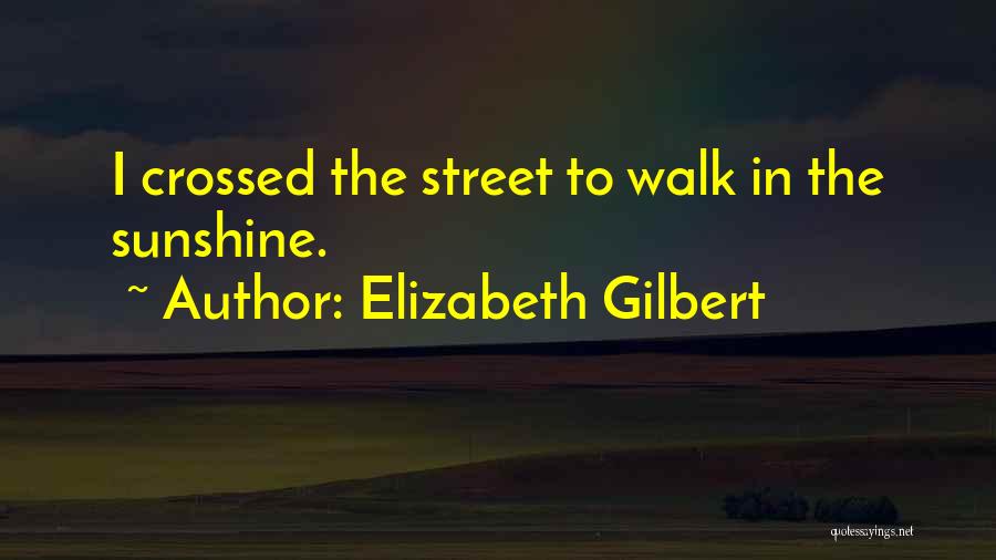 Elizabeth Gilbert Quotes: I Crossed The Street To Walk In The Sunshine.