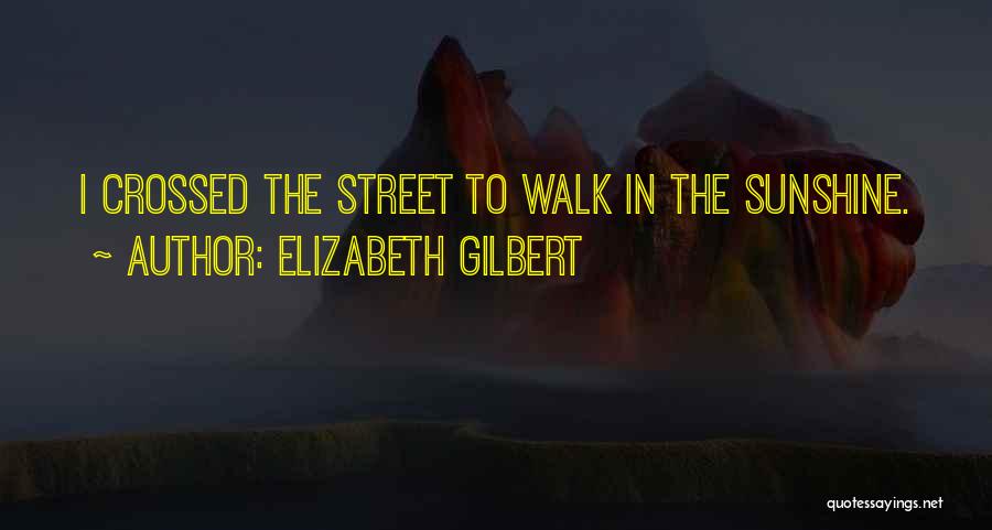 Elizabeth Gilbert Quotes: I Crossed The Street To Walk In The Sunshine.