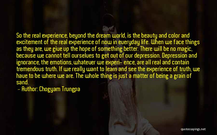 Chogyam Trungpa Quotes: So The Real Experience, Beyond The Dream World, Is The Beauty And Color And Excitement Of The Real Experience Of