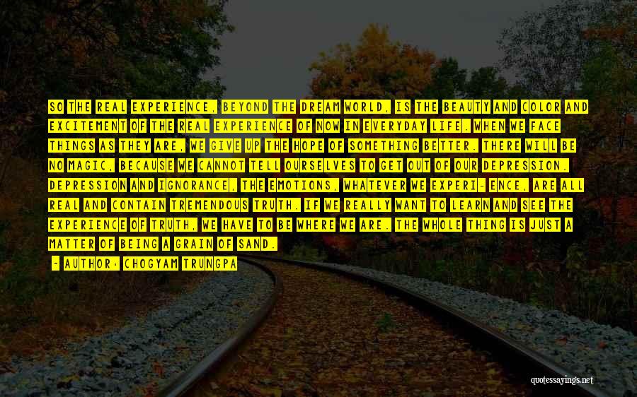 Chogyam Trungpa Quotes: So The Real Experience, Beyond The Dream World, Is The Beauty And Color And Excitement Of The Real Experience Of