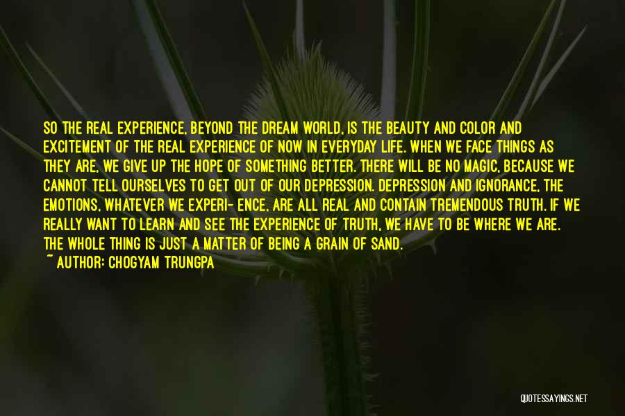 Chogyam Trungpa Quotes: So The Real Experience, Beyond The Dream World, Is The Beauty And Color And Excitement Of The Real Experience Of