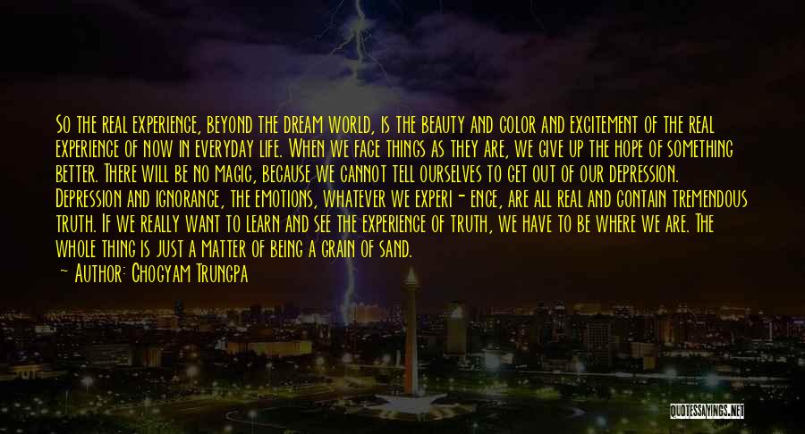 Chogyam Trungpa Quotes: So The Real Experience, Beyond The Dream World, Is The Beauty And Color And Excitement Of The Real Experience Of