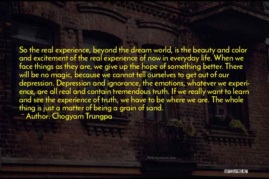 Chogyam Trungpa Quotes: So The Real Experience, Beyond The Dream World, Is The Beauty And Color And Excitement Of The Real Experience Of