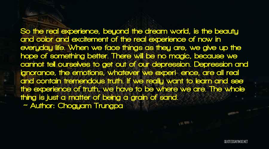 Chogyam Trungpa Quotes: So The Real Experience, Beyond The Dream World, Is The Beauty And Color And Excitement Of The Real Experience Of